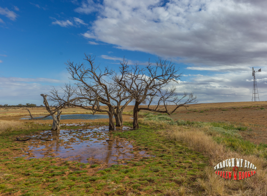 Oodna to Coober